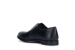 GEOX CHAUSSURES HOMME