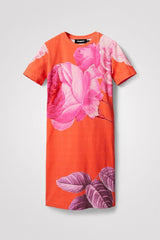 Desigual Robe Femme