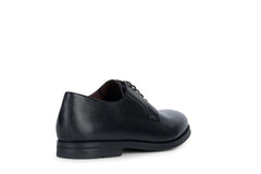 GEOX CHAUSSURES HOMME