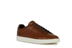 GEOX CHAUSSURE HOMME
