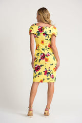Joseph Ribkoff robe
