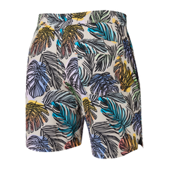 Saxx Maillot de Bain Homme