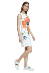 Desigual Robe Femme