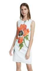 Desigual Robe Femme